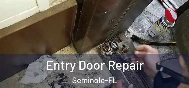  Entry Door Repair Seminole-FL