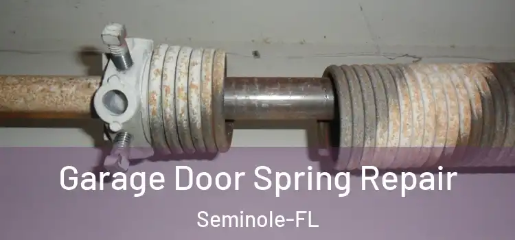  Garage Door Spring Repair Seminole-FL