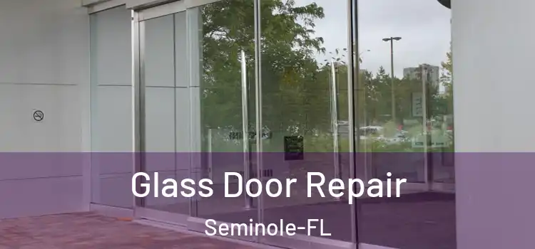  Glass Door Repair Seminole-FL