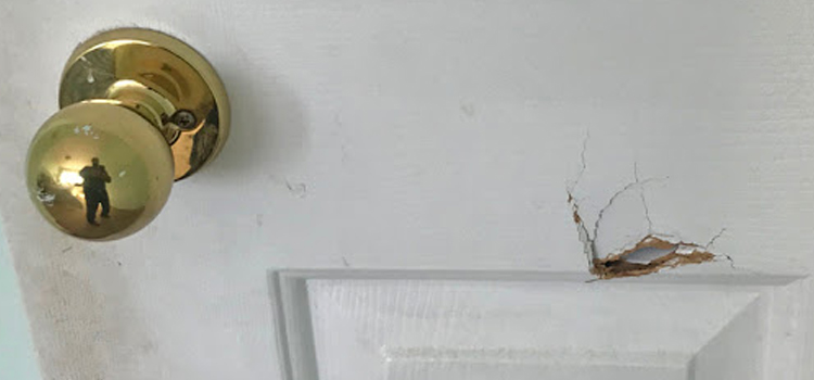 interior door hole repair Seminole