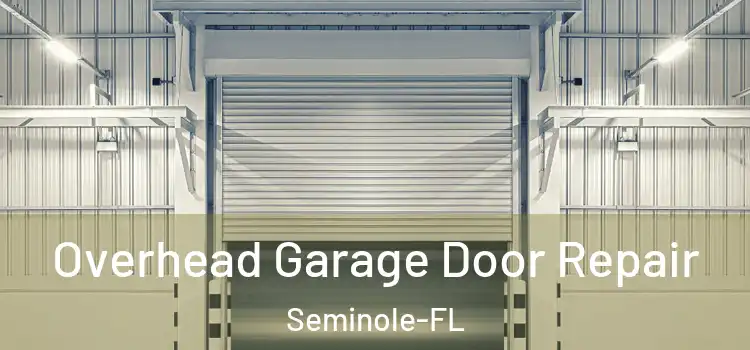  Overhead Garage Door Repair Seminole-FL
